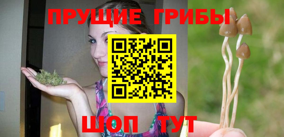 Галлюциногенные грибы Cubensis  Псилоцибиновые грибы Psilocybine cubensis  Вход с VPN  Сыктывкар 